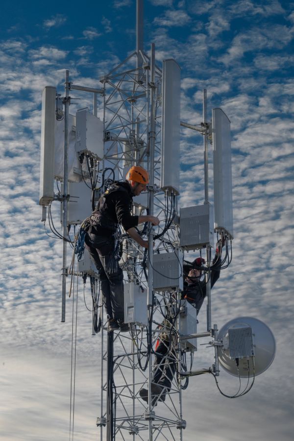Telecom Division